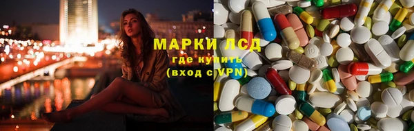 сатива Волосово