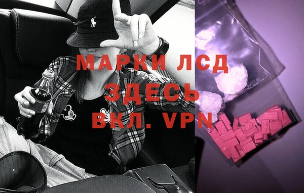 сатива Волосово