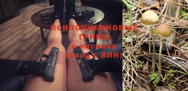 МДПВ Володарск