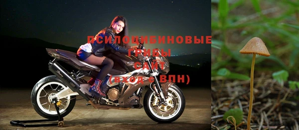 МДПВ Володарск