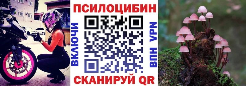 Галлюциногенные грибы прущие грибы  Полтавская 